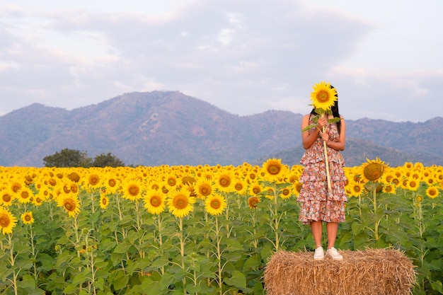 La bella ragazza tiene il girasole con un bel fiore archiviato