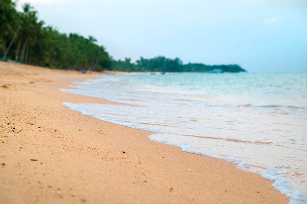 La bella spiaggia tropicale ondeggia il primo piano dell'isola di Samui Tailandia