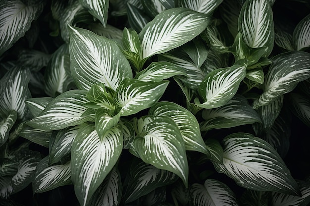La bellezza botanica La stupefacente fotografia in primo piano di piante bianche e verdi in 32 aspetti