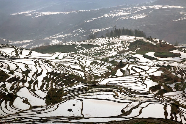 La bellezza delle terrazze di riso Yuan Yang, in Cina.