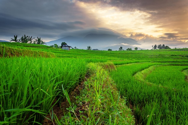 La bellezza naturale della campagna e le verdi risaie e le piccole capanne ai piedi della montagna all'alba del mattino