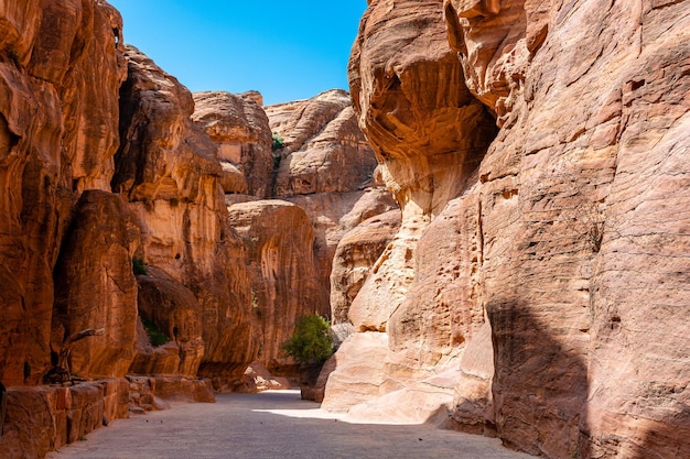 La bellissima gola del Siq che conduce alla città rupestre di Petra in Giordania