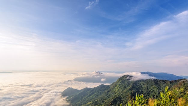 La bellissima natura del paesaggio al mattino sulla montagna di picco con la nebbia della nuvola del sole e il cielo blu brillante in inverno al Phu Chi Fa Forest Park è una famosa attrazione turistica della provincia di Chiang Rai, Thailandia