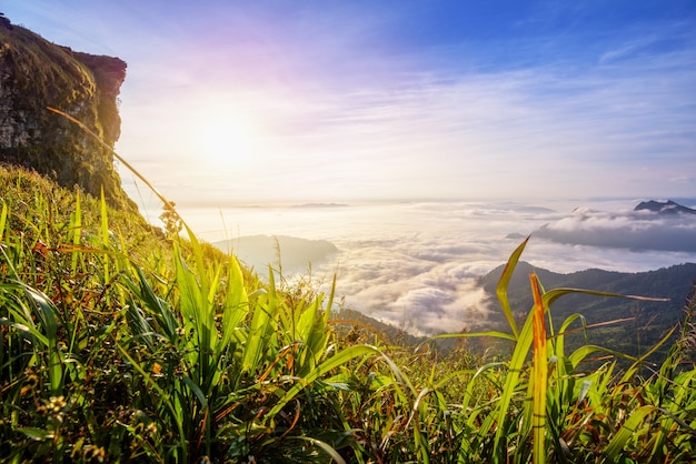 La bellissima natura del paesaggio dell'alba sulla montagna di picco con la nebbia della nuvola del sole e i colori vivaci del cielo in inverno al Phu Chi Fa Forest Park è una famosa attrazione turistica della provincia di Chiang Rai, Thailandia