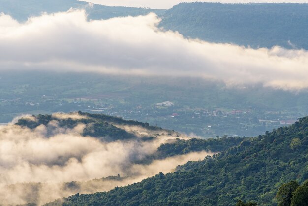 La bellissima natura del paesaggio nuvole e nebbie come il mare è cime coperte nella mattina d'inverno durante l'alba al punto di vista del Parco Nazionale di Phu Ruea, provincia di Loei, Thailandia