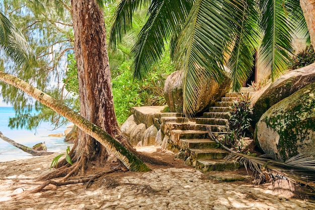 La bellissima spiaggia di Anse Soleil alle Seychelles