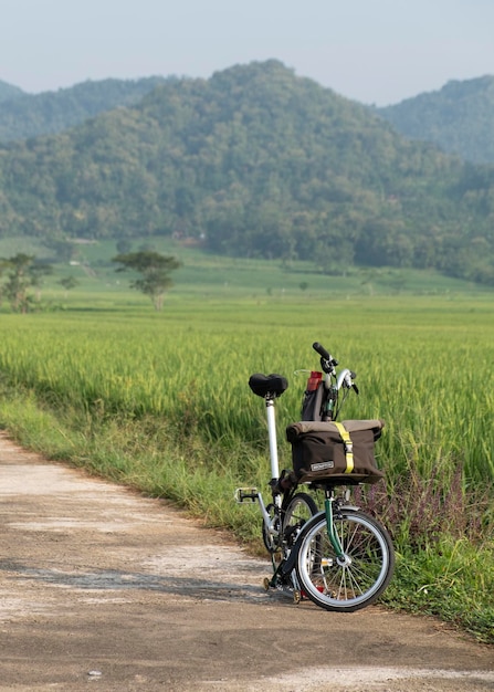La bici Brompton edizione verde nella risaia intorno a Pronosutan, Kulonprogo.