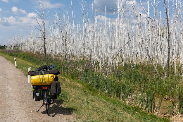 La bici dei viaggiatori si trova sul lato della strada vicino alla palude