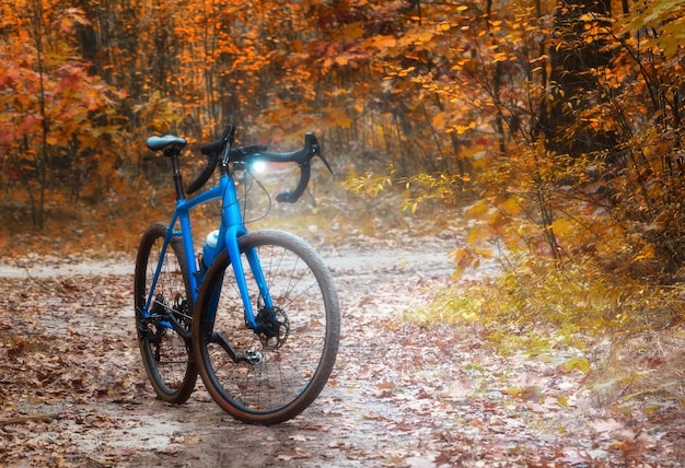 La bicicletta con la torcia accesa è in piedi su un sentiero in una magica foresta autunnale