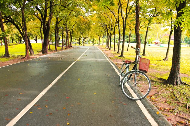 La bicicletta sul sentiero del parco