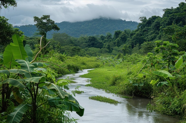 La biodiversità lungo un paradiso lungo il fiume