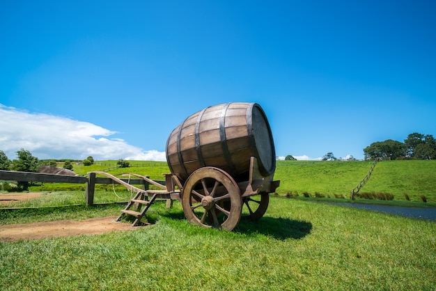 La botte di vino sul carretto contro il campo di erba verde nell&#39;agricoltura della campagna abbellisce il fondo.