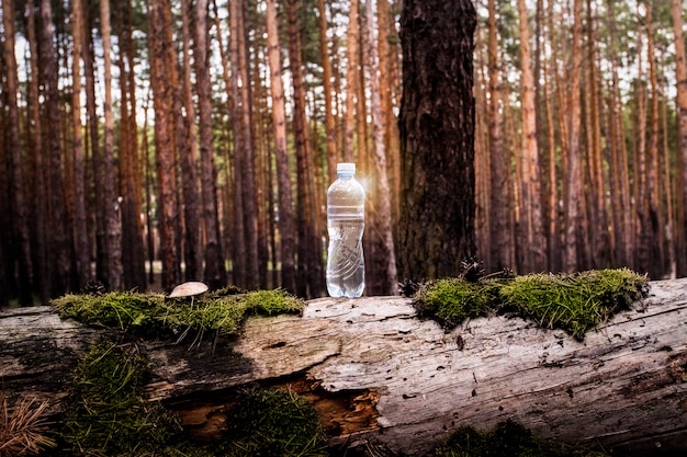 La bottiglia di acqua di plastica si trova su un tronco abbattuto con muschio e funghi sulla foresta. Concetto di acqua pulita naturale.