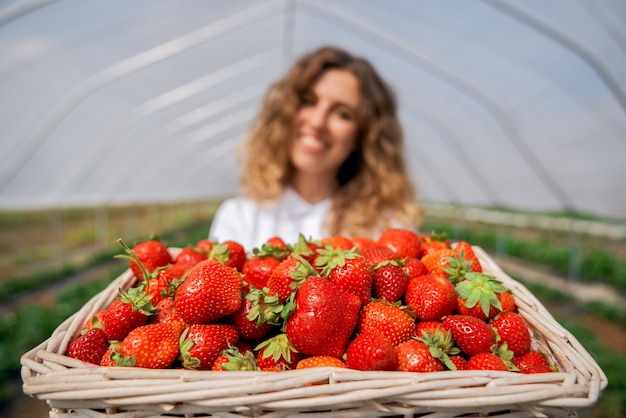 La bruna riccia sta tenendo le fragole in serra