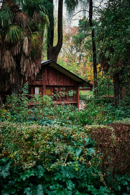 La cabana en la naturaleza