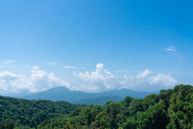 la campagna di Chiang Mai