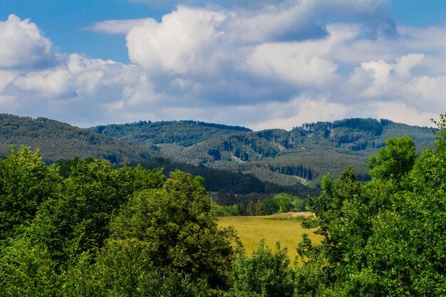 La campagna estiva