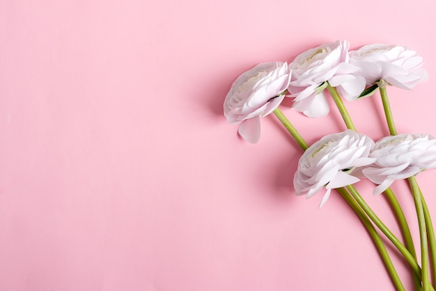 La carta festiva dell'invito con il ranunculus fresco bianco fiorisce su un fondo di rosa pastello.