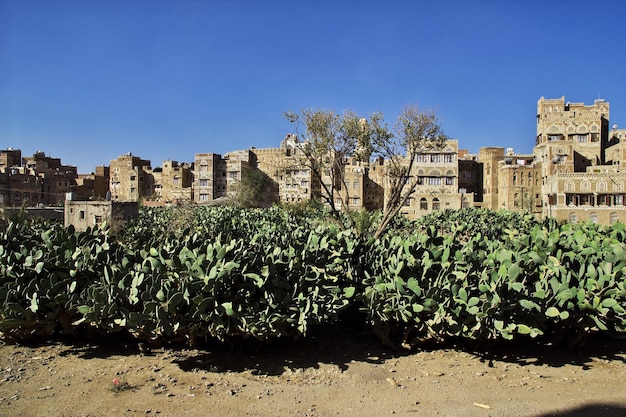 La casa d'epoca a Sana'a Yemen