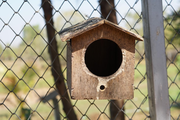 La casa del pappagallo nel parco