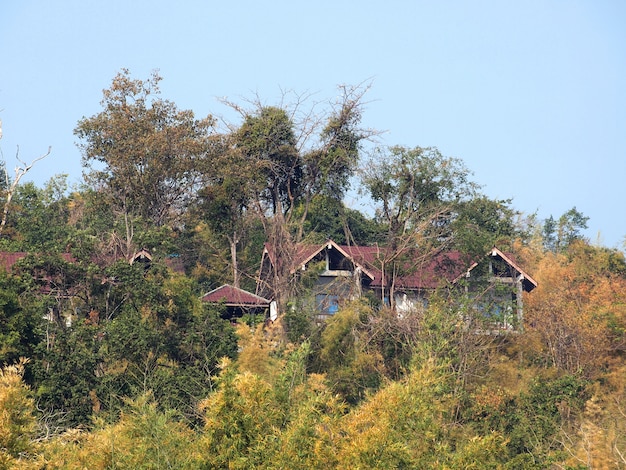 la casa è dietro gli alberi in una foresta