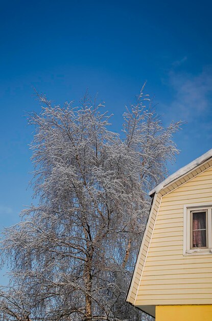 La casa è rustica in inverno