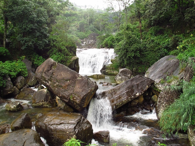 La cascata di Nuwara Eliya, Sri Lanka