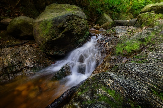 La cascata nella foresta con luce soffusa