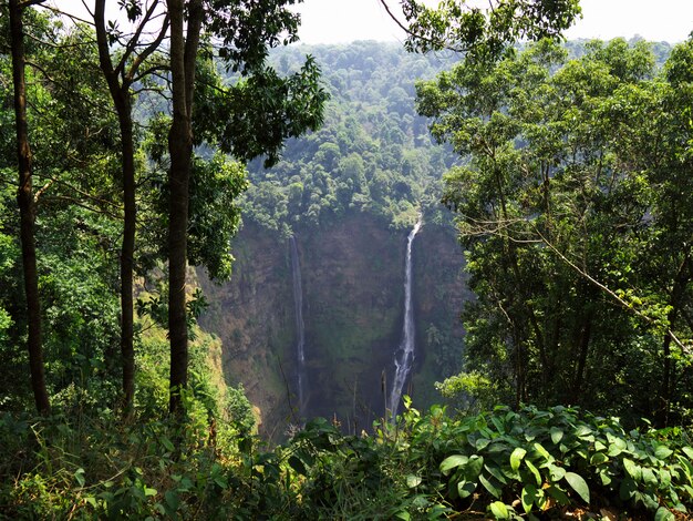 La cascata nella giungla, Laos