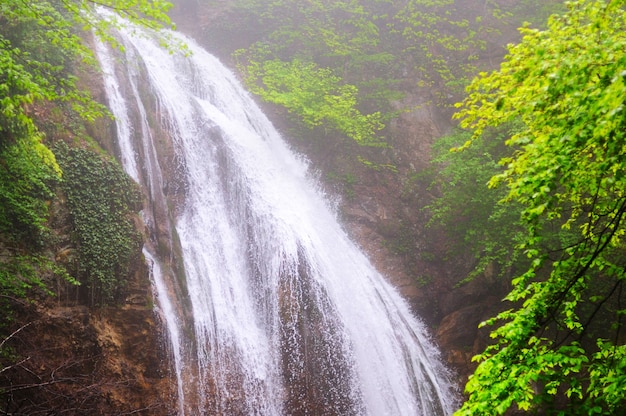 La cascata scorre nella foresta di montagna