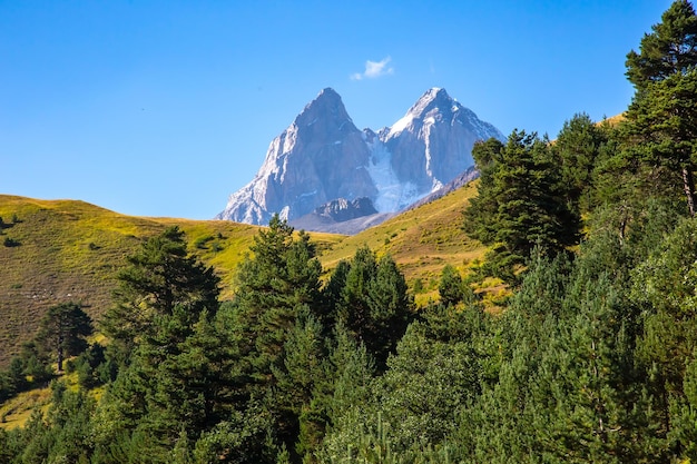 la catena montuosa del Caucaso in Georgia paesaggio montuoso di Ushba