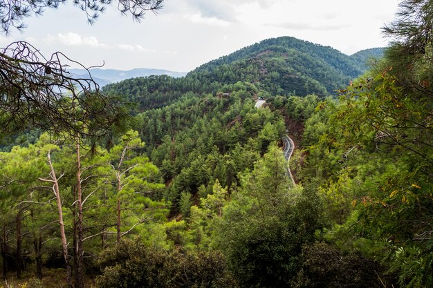 La catena montuosa di Troodos sull'isola di Cipro, ricoperta di foreste di pini, è un bellissimo paesaggio naturale