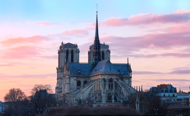 La cattedrale di Notre Dame al tramonto Parigi Francia