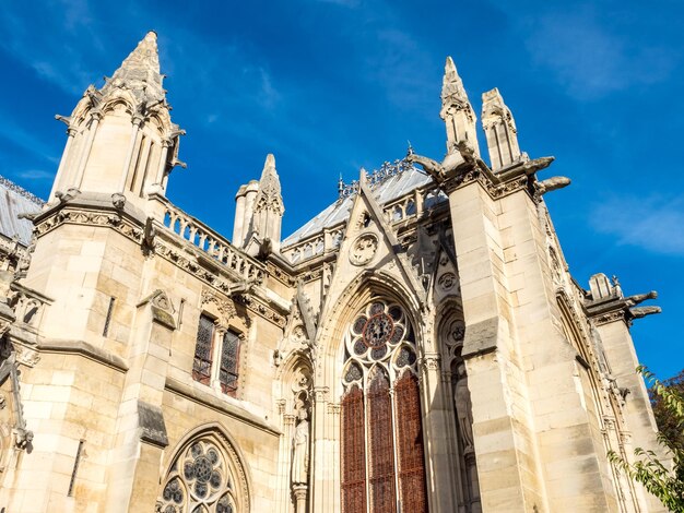 La cattedrale di Notre Dame è un punto di riferimento di Parigi Francia sotto il cielo blu