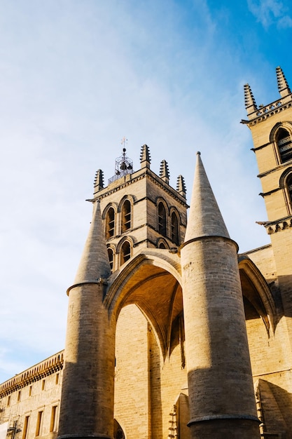 La cattedrale di Saint-Germain nella città di Avignone Foto