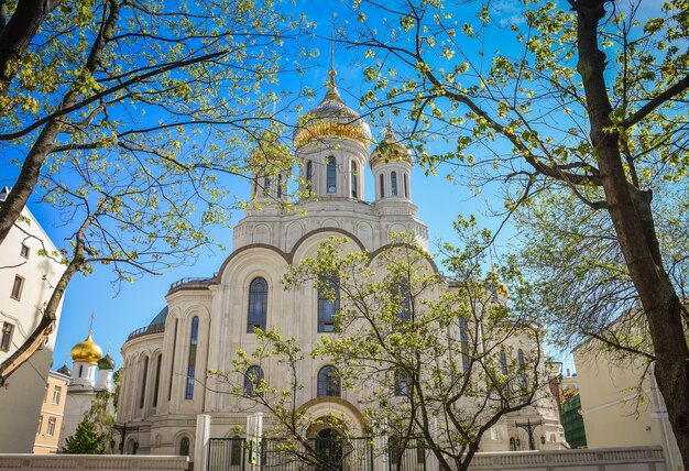 La chiesa dalle cupole dorate al sole tra gli alberi la vista del tempio dal parco attraverso i rami degli alberi