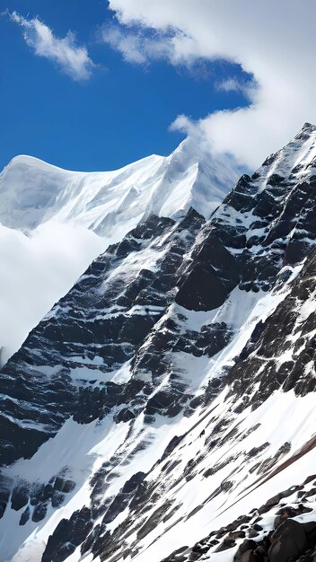 la cima di una montagna innevata