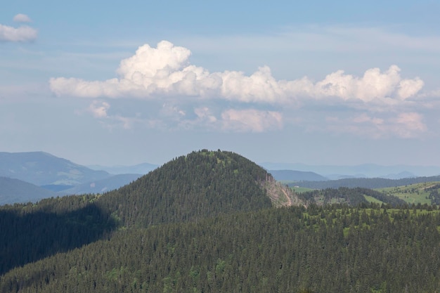 La cima rotonda della montagna è ricoperta da una foresta di abeti Favoloso paese boschivo Monte Stig Carpazi