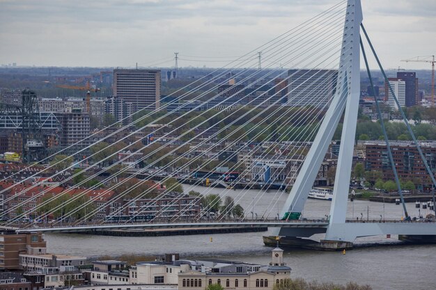 La città di Rotterdam nei Paesi Bassi