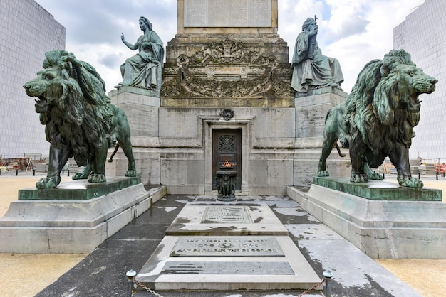 La Colonna del Congresso è una colonna monumentale situata a Bruxelles, in Belgio, che commemora la creazione della Costituzione dal Congresso Nazionale tra il 1830 e il 1831