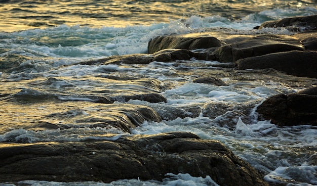 La costa, con massi di pietra. Mare di Barents, Russia.