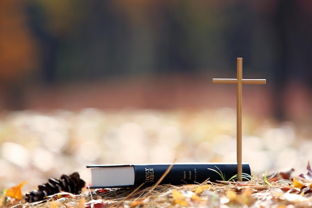 La croce di Gesù Cristo e una bibbia in cima a un mucchio di foglie di acero in una bella foresta autunnale