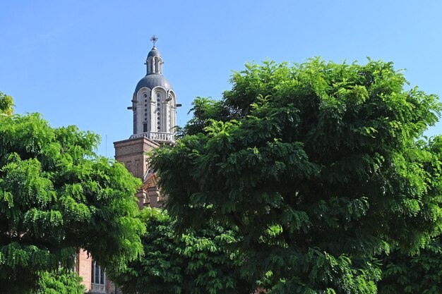 La cupola della chiesa ortodossa tra le acaccie verdi