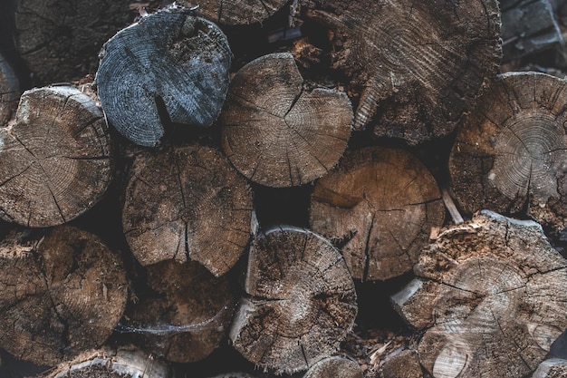 La deforestazione è caduto albero Struttura di legno o sfondo di legno