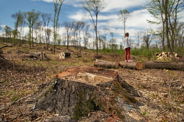 La deforestazione. Problemi ecologici del pianeta, disboscamento delle foreste di pini. la bambina ispeziona il sito di deforestazione