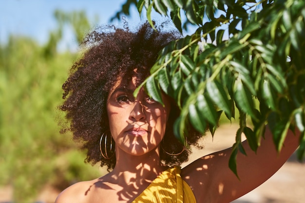 La donna afro tiene alcuni rami vicino al suo viso. L'ombra delle foglie è proiettata sul suo viso. Ecologia, concetto di natura.