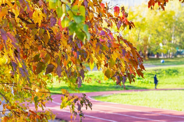 La donna anziana con i pali del trekkin cammina sul tapis roulant rosso nel concetto di sport all'apertoBright autunno