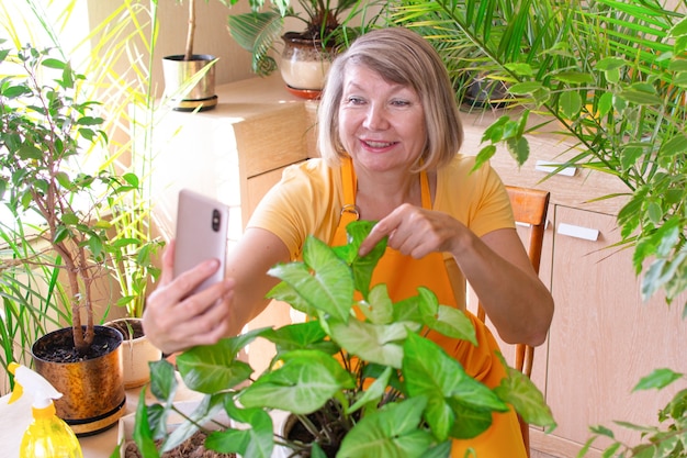 La donna anziana del blogger prende gli ordini online mostra la pianta al cliente tramite collegamento videobusiness online