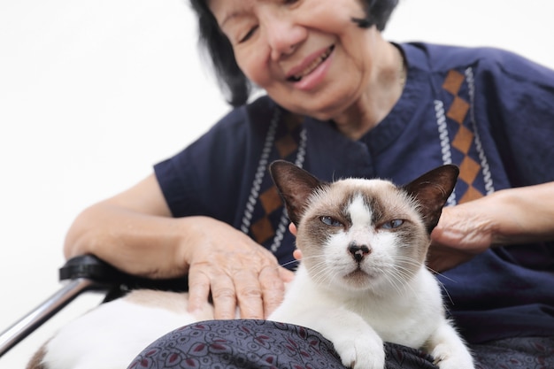 La donna anziana si è rilassata con il suo gatto.