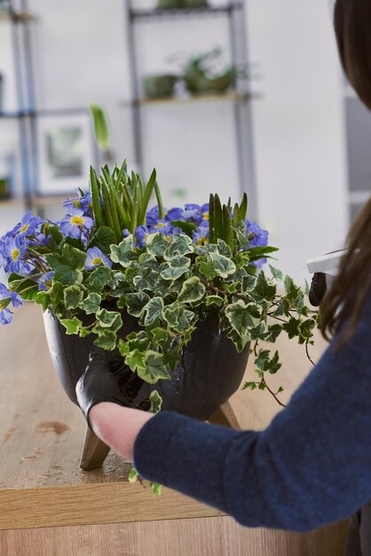 La donna anziana trapianta i vasi da fiori al coperto